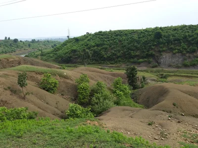 Sidhi - Photo 2