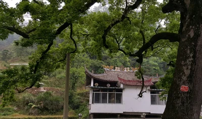 Wencheng County - Photo 5