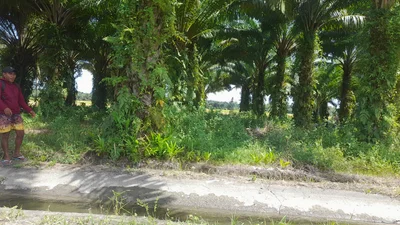 Esperanza - Photo 4