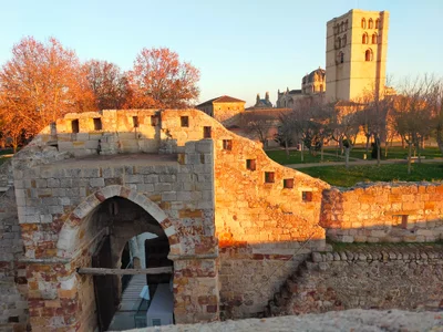 Zamora - Photo 3