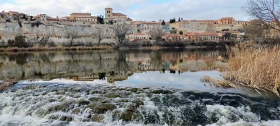 Zamora - Photo 4