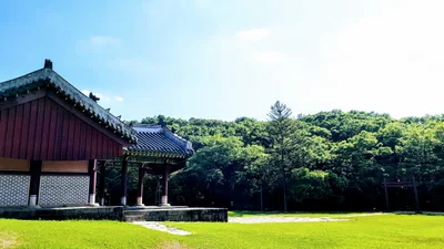 Paju - Photo 3