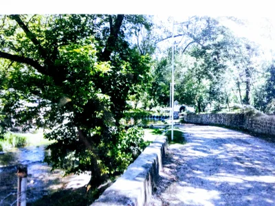 Agua de Oro - Photo 4