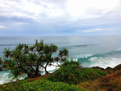 Cabarita Beach - Photo 2