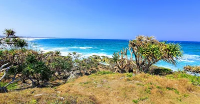Cabarita Beach - Photo 3