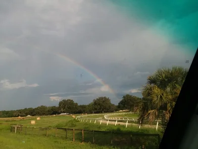 Fort McCoy - Photo 2