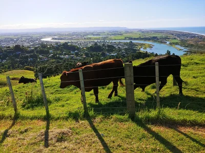 Ohope - Photo 4