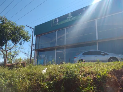 Guaraní - Photo 2