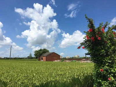 Puyan Township - Photo 4