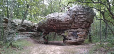 Dunlap - Photo 5