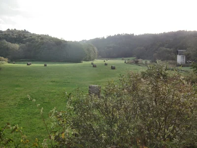 Teshio - Photo 5