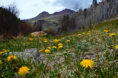 Creede - Photo 2