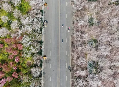 Xingyang - Photo 5