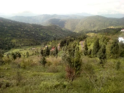 Nata Dol - Photo 2