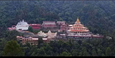 Nata Dol - Photo 5