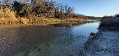Glen Rose - Photo 5