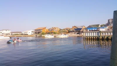 Fire Island - Photo 2
