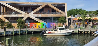 Fire Island - Photo 4