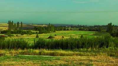 Artashavan - Photo 4