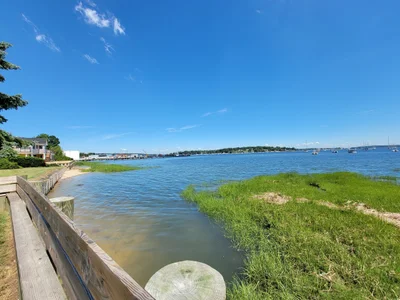 Oyster Bay - Photo 4