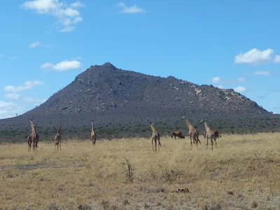 Tsavo National Park East - Photo 3