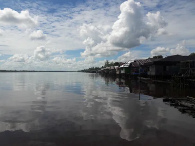 Pulang Pisau - Photo 3