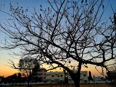 Maluru - Photo 2