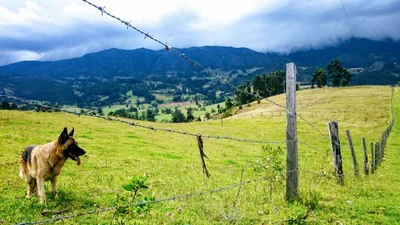 Sotaquira - Photo 4