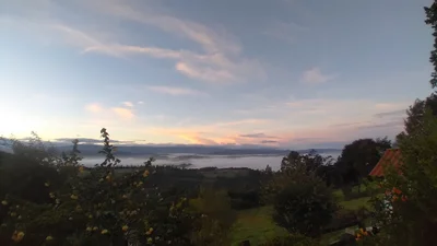 Sotaquira - Photo 5