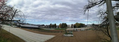 Fujimino - Photo 5