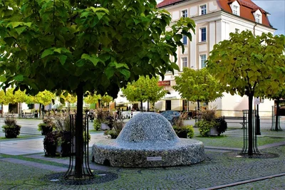 Boleslawiec - Photo 5