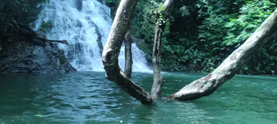 Norcasia - Photo 3