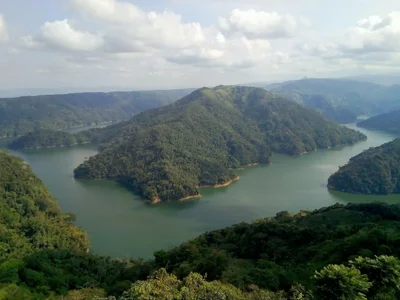 Norcasia - Photo 4
