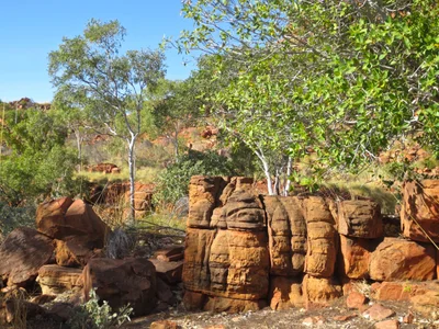 Halls Creek - Photo 2