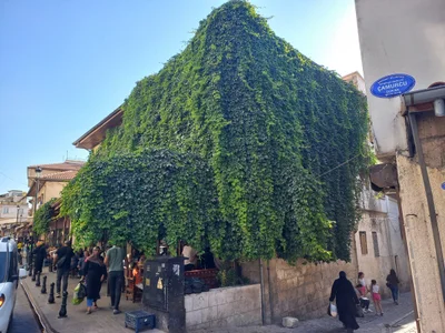 Gaziantep - Photo 4