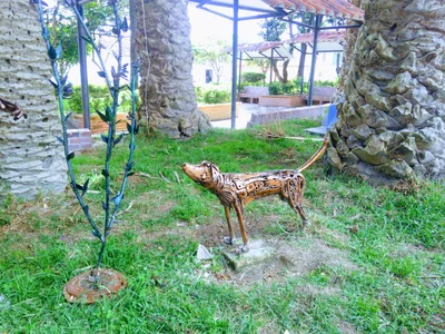 Gachantiva - Photo 2