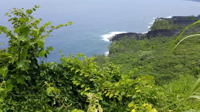 Saint-Philippe - Photo 4