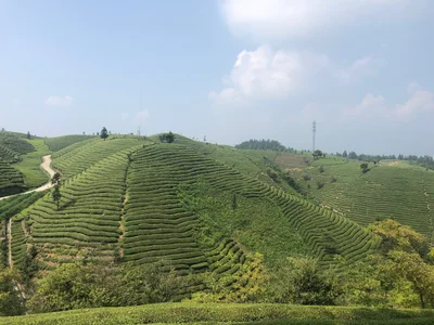 Hefeng County - Photo 2