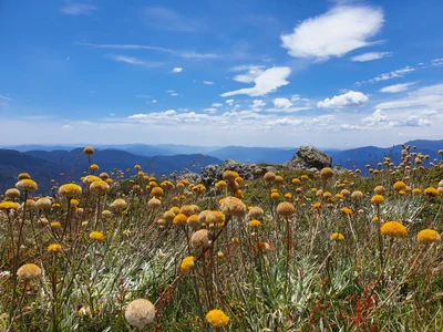 Falls Creek - Photo 3