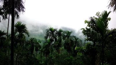 Samsing - Photo 2