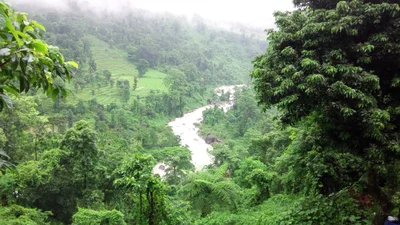 Samsing - Photo 3