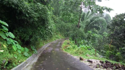 Samsing - Photo 4