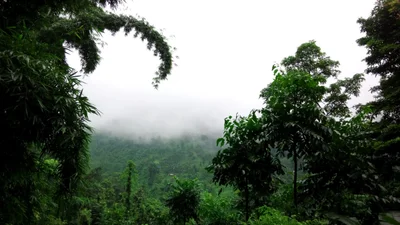 Samsing - Photo 5