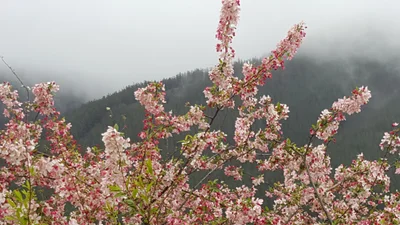 Wandiligong - Photo 3