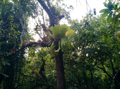 Idanre - Photo 2