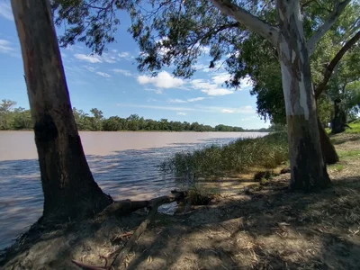 St George - Photo 5