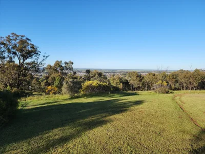 Griffith - Photo 3