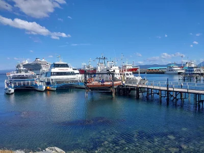 Province of Tierra del Fuego - Photo 4