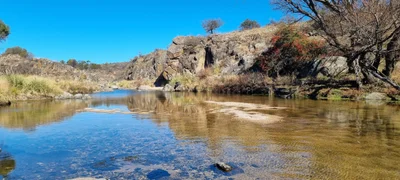 Rio de los Sauces - Photo 3