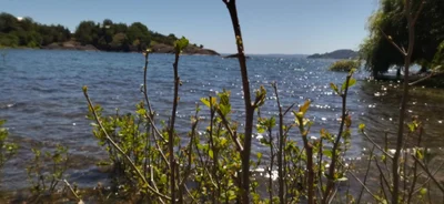 Lago Ranco - Photo 5